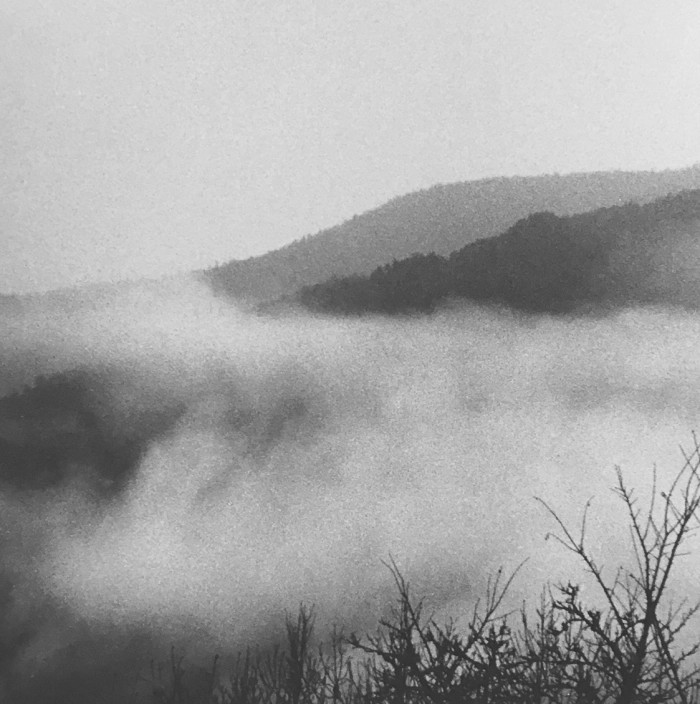 Photo de la série Brume - Thérèse Pitte