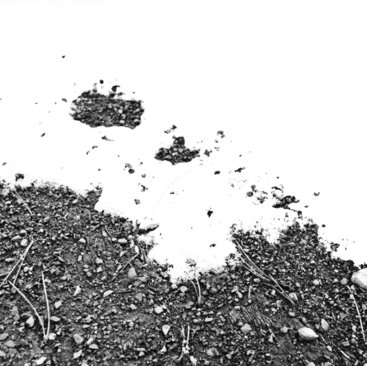 Photographie de Thérèse Pitte